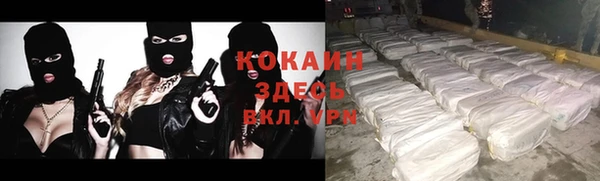не бодяженный Арсеньев