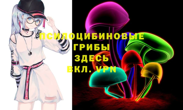 дмт Армянск